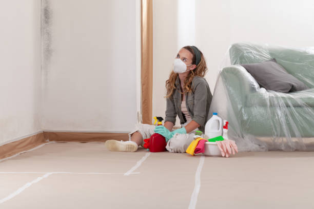 Reliable Mold Remediation contractor in Cresskill, NJ by Cheap Mold Removal
